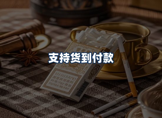 专业团队办公环境